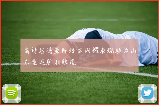 高诗岩德豪陈培东闪耀表现助力山东重返胜利轨道