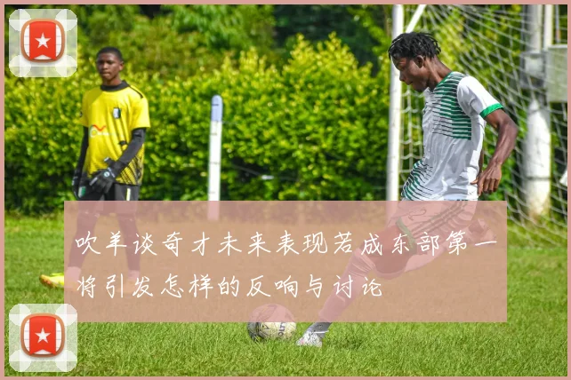 吹羊谈奇才未来表现若成东部第一将引发怎样的反响与讨论
