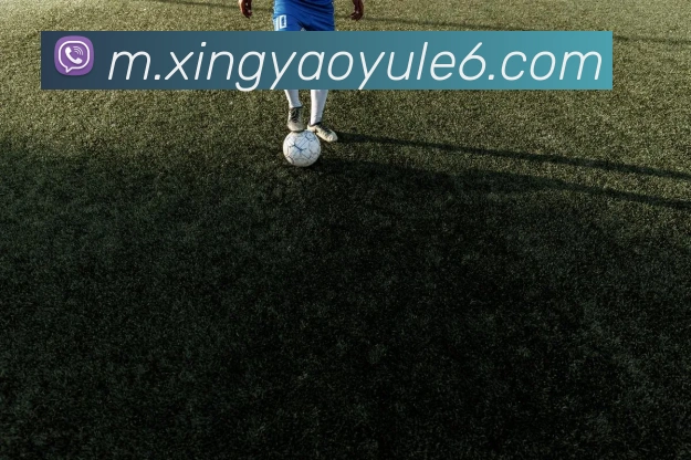 奖项证书
